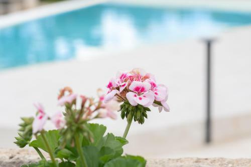 Villa Iris
