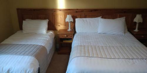 Avonmore House B&B