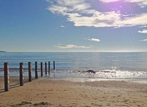 Quality Hotel Youghal Holiday Homes