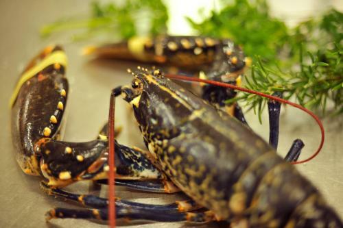 Hostal Aherne's Townhouse Hotel And Seafood Restaurant