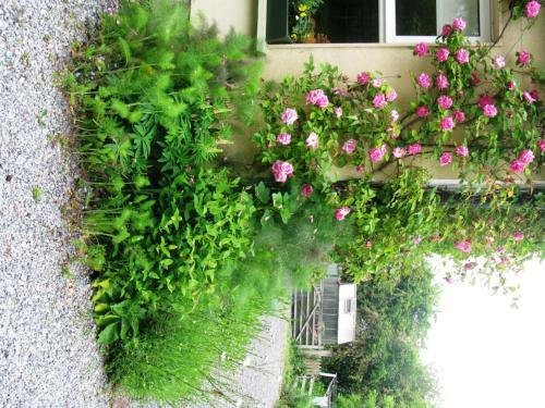 Gormagh B&B