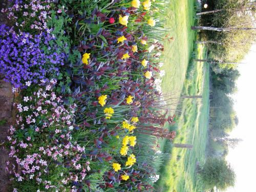 Gormagh B&B