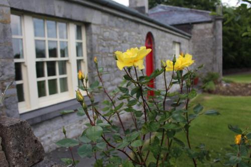 Forest Park House B&B