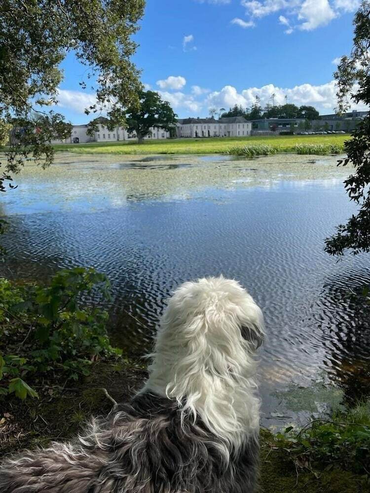 Castlemartyr Resort Hotel