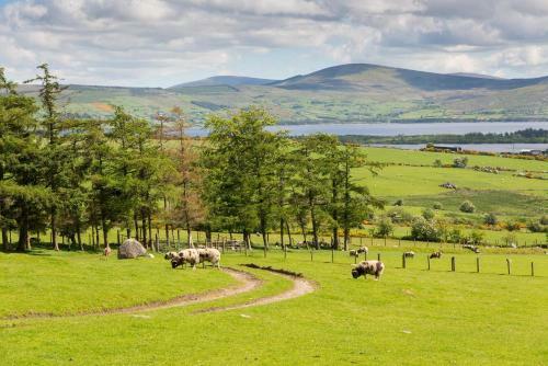 Hostal Abhainn Ri Guesthouse