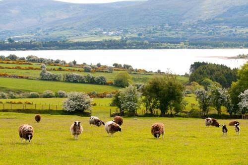 Abhainn Ri Self Catering Cottages