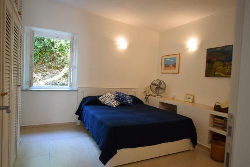 Apartamento Albarosa