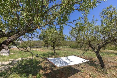 Villa Trullo Felicit�