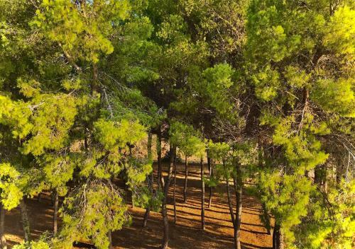 Bed & Breakfast Antica Casina