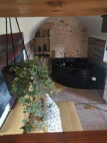 Hostal Only For Two Giumbabulla