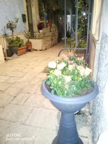 Hostal Only For Two Giumbabulla