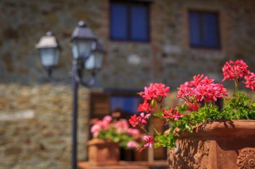 Villa Maria In Chianti