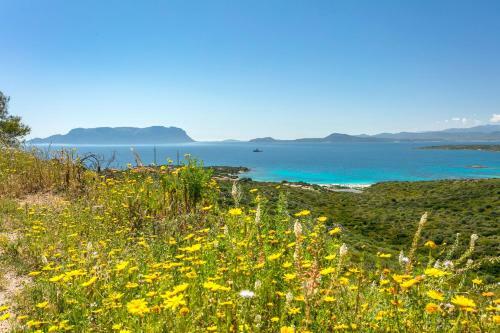 Apartamento Golfo Aranci - Cala Delfino