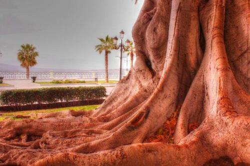 Apartment With 2 Bedrooms In Reggio Calabria