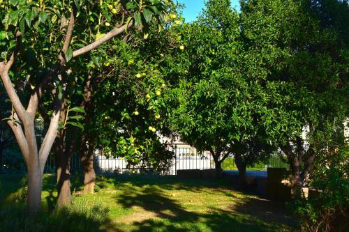 Apartamento Profumo Di Limoni