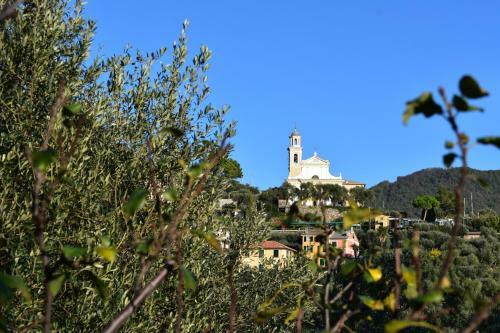 Apartamento Profumo Di Limoni