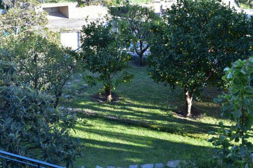 Apartamento Profumo Di Limoni