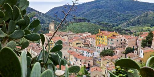 Apartamento App In Villa On Elba