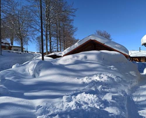 Apartamento Residence Le Polle