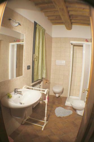 Riparbella Villa Sleeps 3 Pool