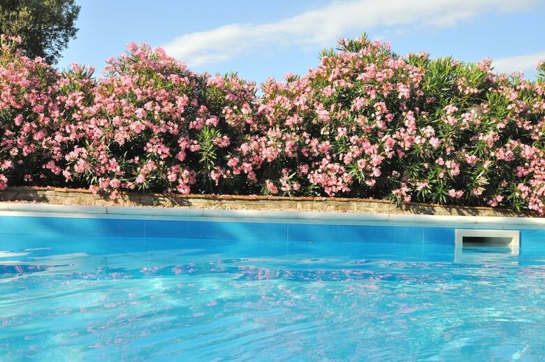 Agroturismo Agriturismo Pereti