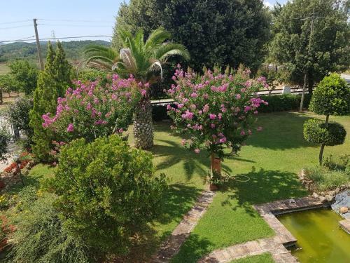 Agroturismo Il Podere Di Sole