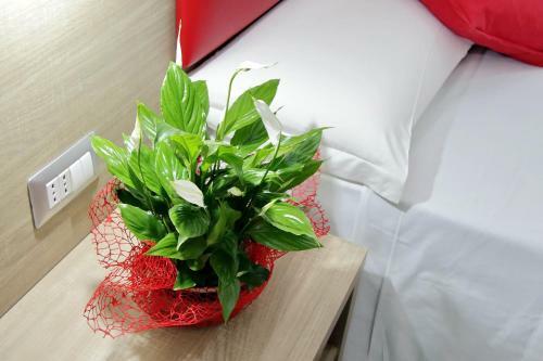 Hostal Lhg Comfy Rooms