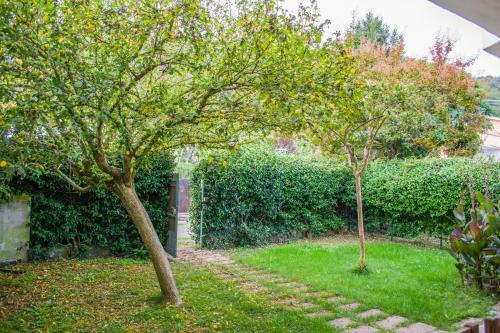 Apartamento Appartamento Il Gelsomino