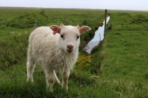 Hotel H�tel Geirland