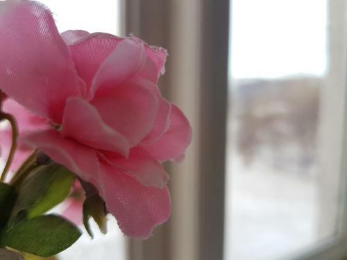Bed & Breakfast Guesthouse Gamli B�r