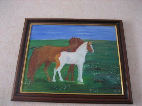 Hostal Guesthouse S�lgardar