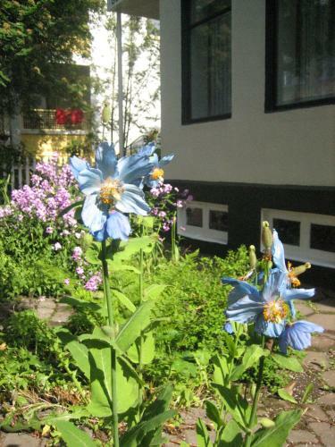 Hostal Guesthouse S�lgardar
