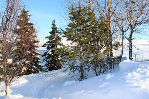 Hostal L�ns� Guesthouse