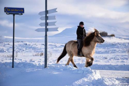 Hostal Skjaldarv�k Guesthouse