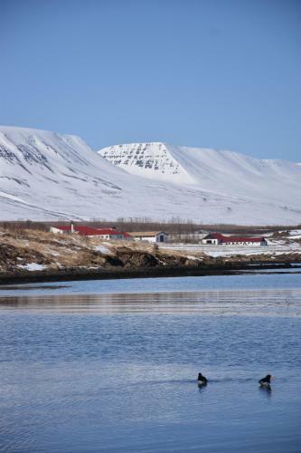 Hostal Skjaldarv�k Guesthouse