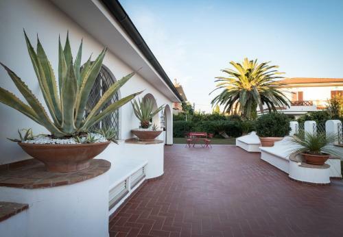 Hostal L'ippocampo Guest House