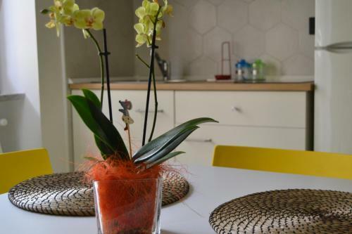 Apartamento Alleria Holiday Home