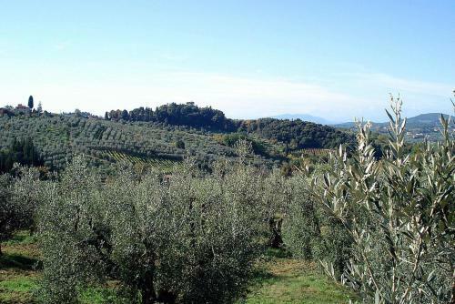 San Casciano In Val Di Pesa Villa Sleeps 8 Pool