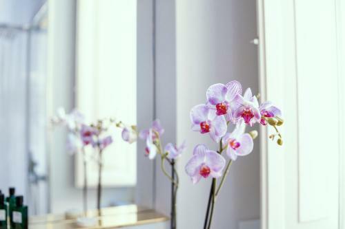 Hostal Palazzo Dei Grifoni - Luxury Suites -