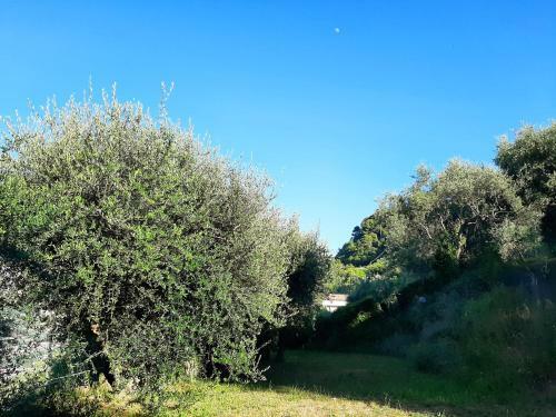Apartamento Tra Le Stelle E Il Mare
