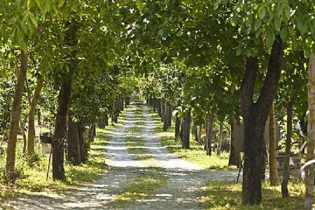 San Cipriano Picentino Villa Sleeps 6 Pool Air Con