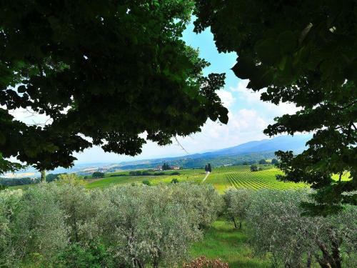 Historic Villa In Rignano Sull'arno-fi With Swimming Pool