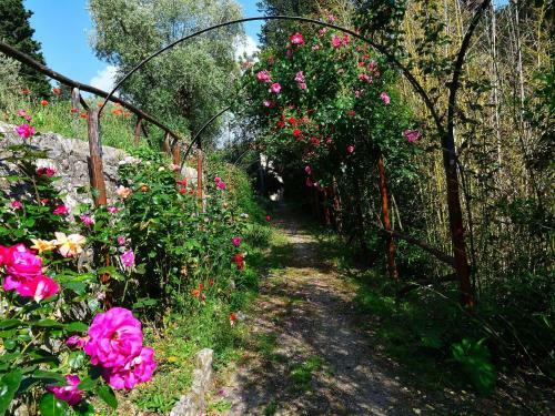 Historic Villa In Rignano Sull'arno-fi With Swimming Pool