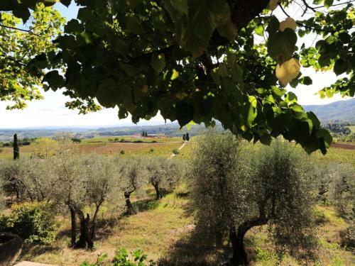 Historic Villa In Rignano Sull'arno-fi With Swimming Pool