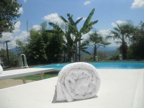 Historic Villa In Rignano Sull'arno-fi With Swimming Pool