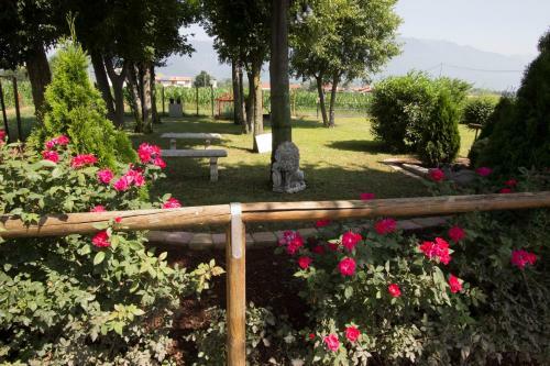 Le Fate Corbezzole Apartament