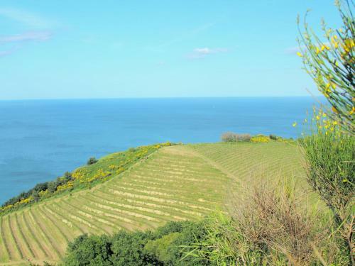 Exotic Villa In San Ginesio With Private Pool