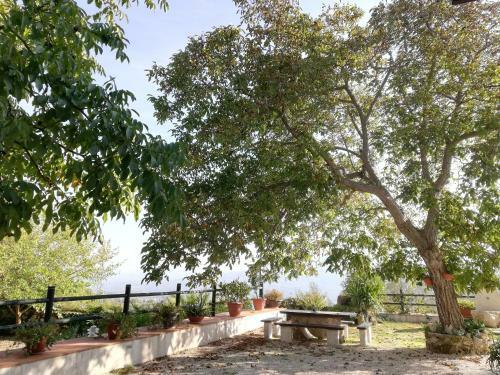 Hostal Le Coste Affittacamere