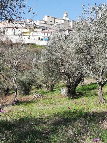 Hostal Le Coste Affittacamere