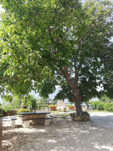 Hostal Le Coste Affittacamere
